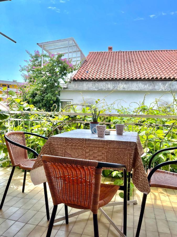 Garden House Budva Eksteriør billede