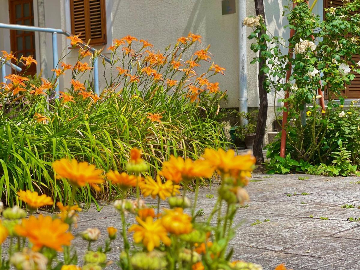 Garden House Budva Eksteriør billede